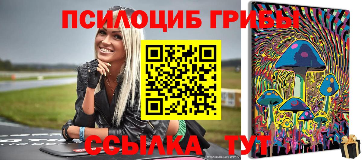 Псилоцибиновые грибы Cubensis Анжеро-Судженск