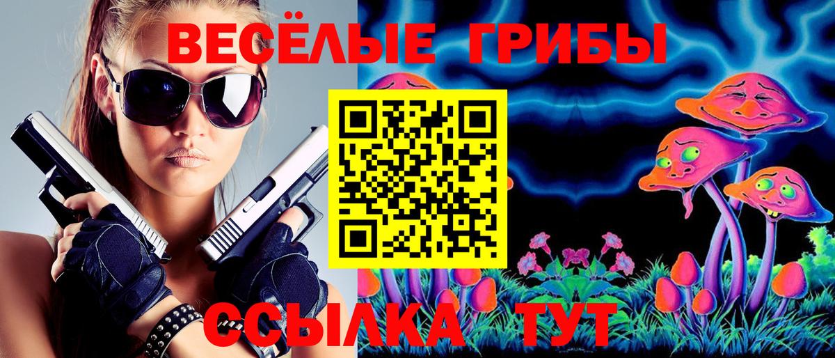 Галлюциногенные грибы Magic Shrooms  Псилоцибиновые грибы мицелий  Анжеро-Судженск  Вход с VPN 